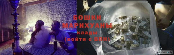 ГАЛЛЮЦИНОГЕННЫЕ ГРИБЫ Горняк