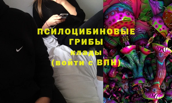 таблы Горнозаводск