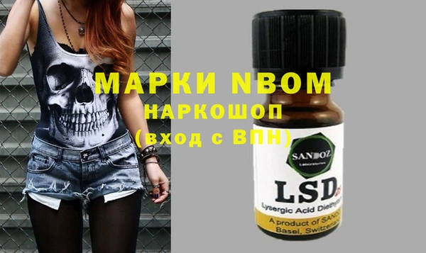 ГАЛЛЮЦИНОГЕННЫЕ ГРИБЫ Горняк